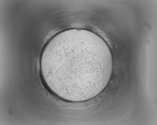 X0000115150011200911171250