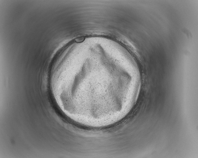 X0000115150012200911171250