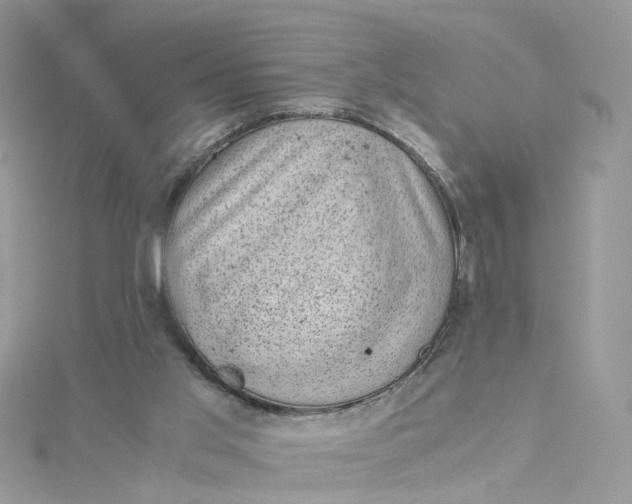 X0000115150013200911171250