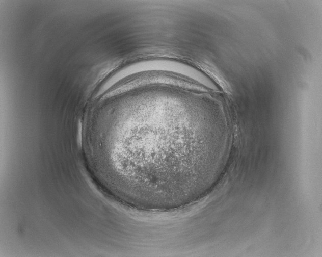 X0000115150014200911171250