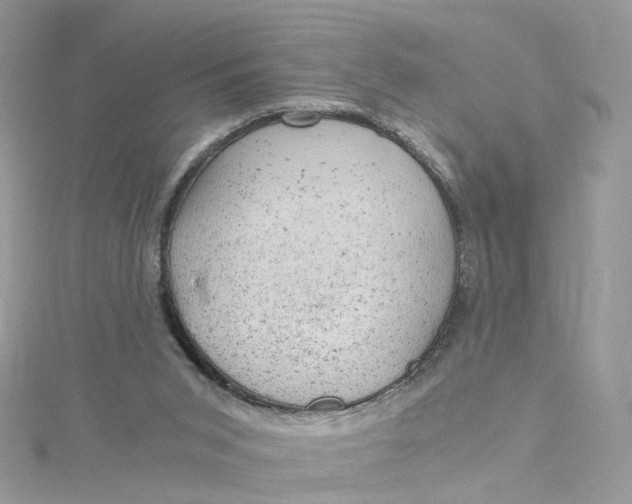 X0000115150015200911171250