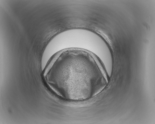 X0000115150017200911171250