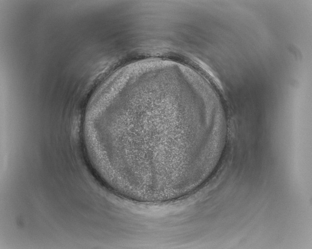 X0000115150018200911171250