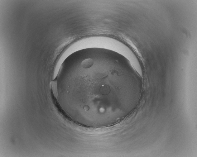 X0000115150019200911171250