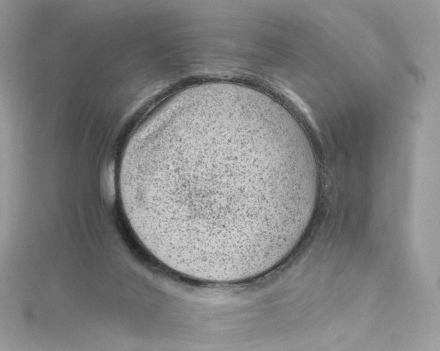 X0000115150020200911171250