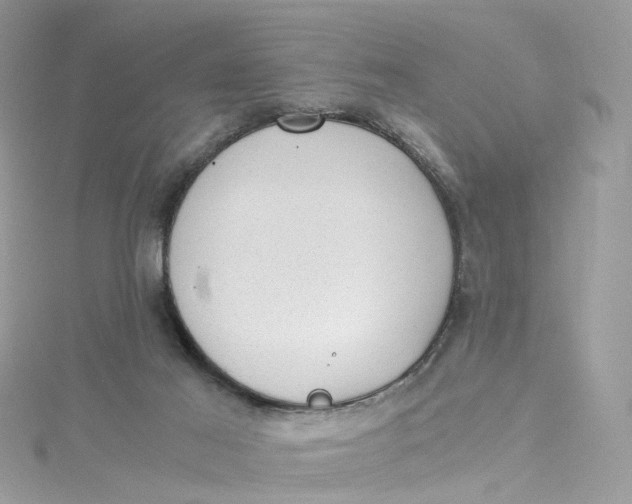 X0000115150021200911171250