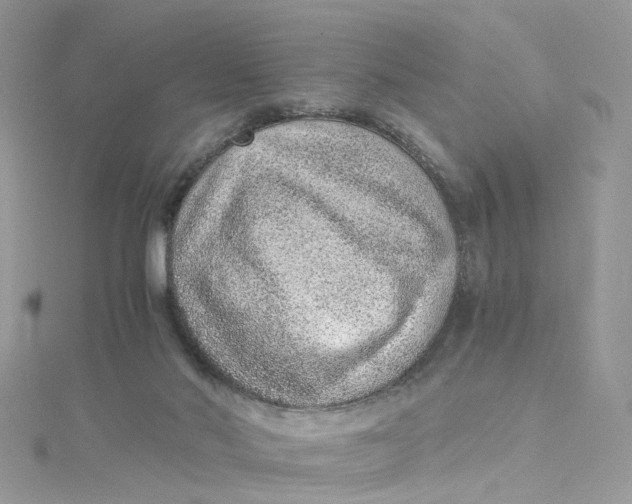 X0000115150022200911171250