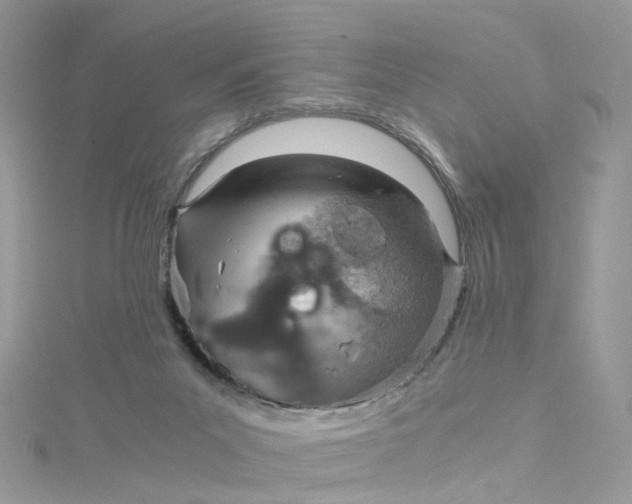 X0000115150023200911171250