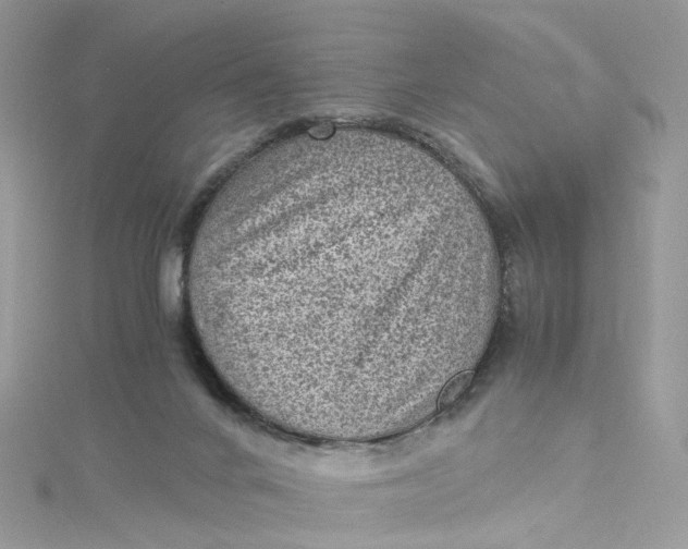 X0000115150024200911171250