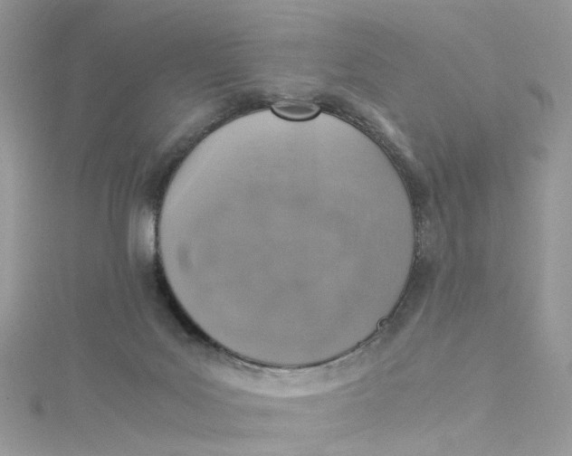 X0000115150027200911171250