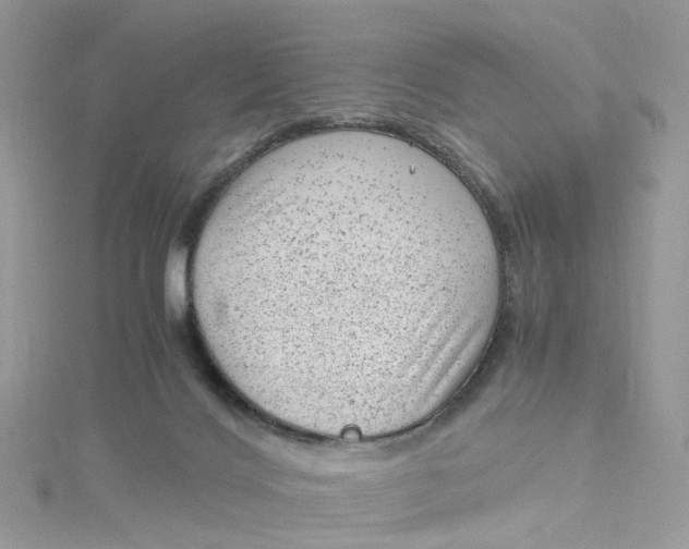 X0000115150028200911171250