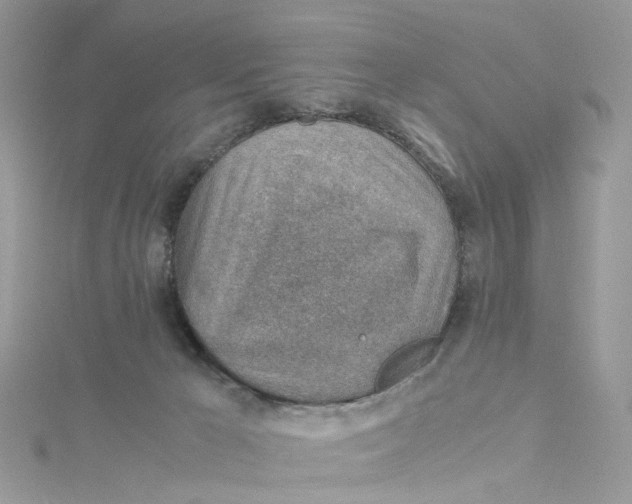 X0000115150029200911171250