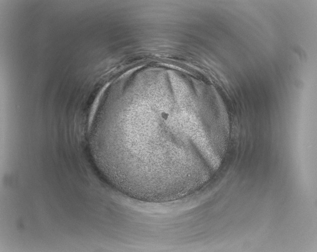 X0000115150030200911171250