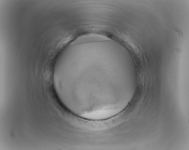 X0000115150031200911171250