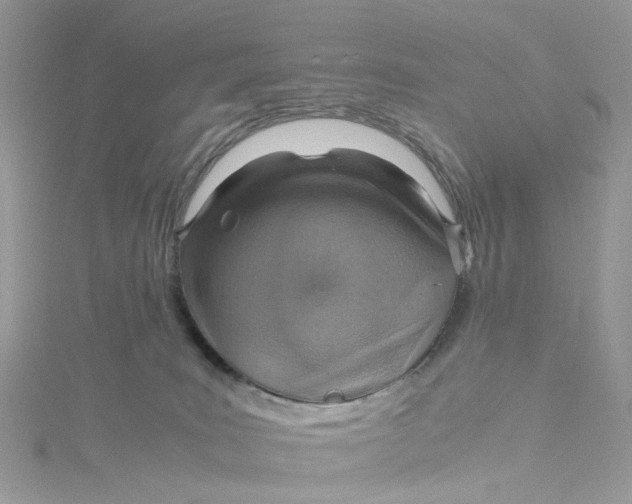 X0000115150035200911171250