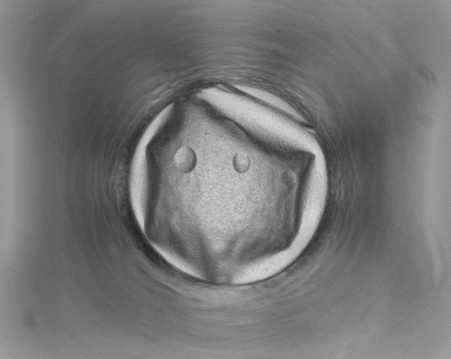 X0000115150036200911171250