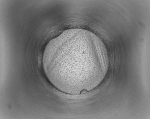 X0000115150038200911171250