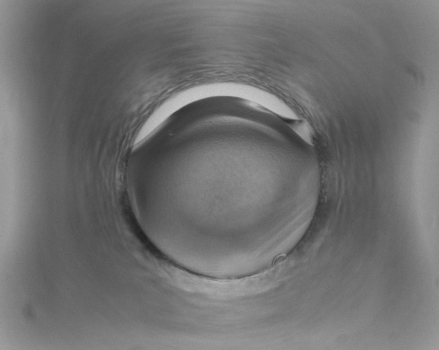 X0000115150039200911171250