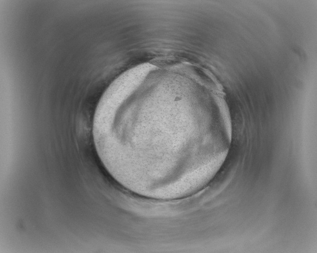 X0000115150040200911171250