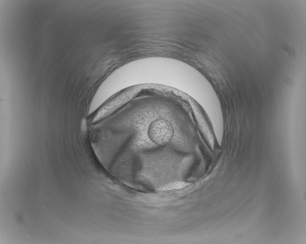 X0000115150041200911171250