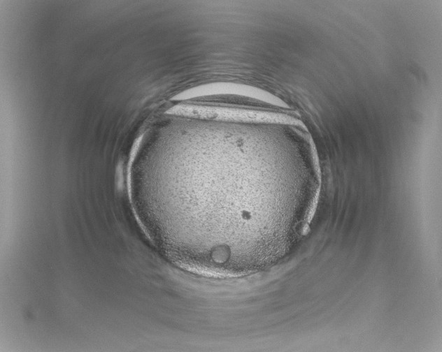 X0000115150042200911171250