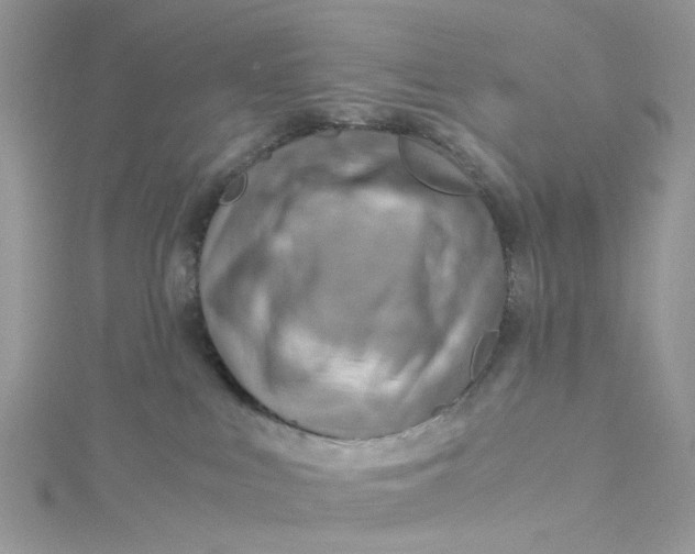 X0000115150043200911171250