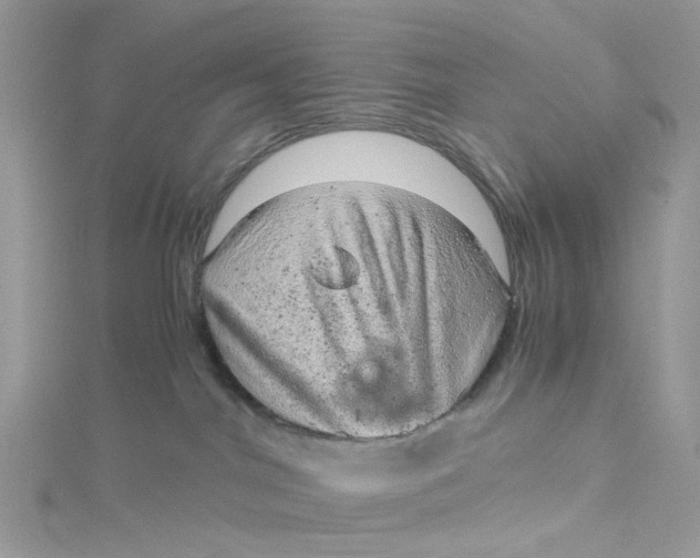 X0000115150044200911171250