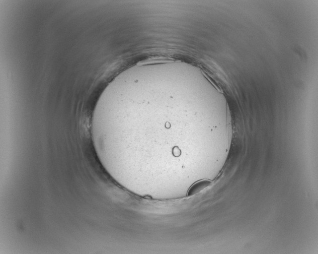 X0000115150045200911171250