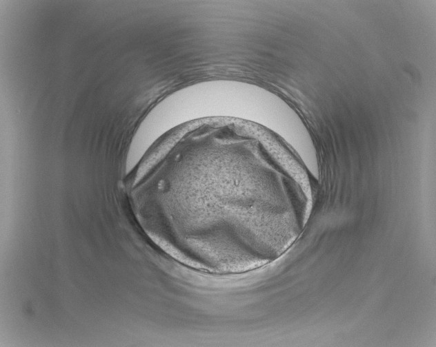 X0000115150047200911171250