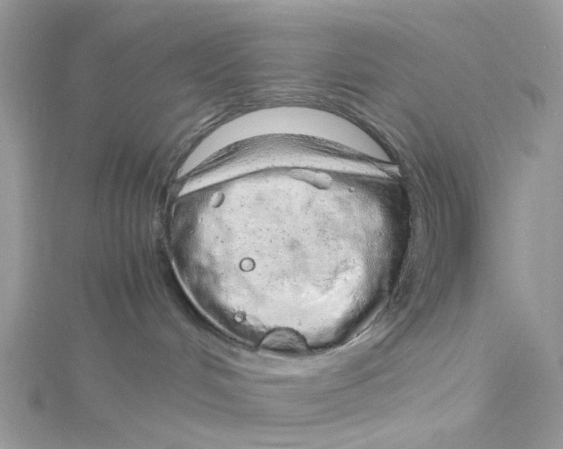 X0000115150048200911171250