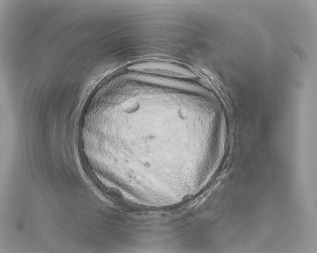 X0000115150049200911171249