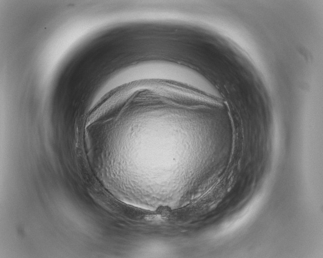 X0000115150050200911171249