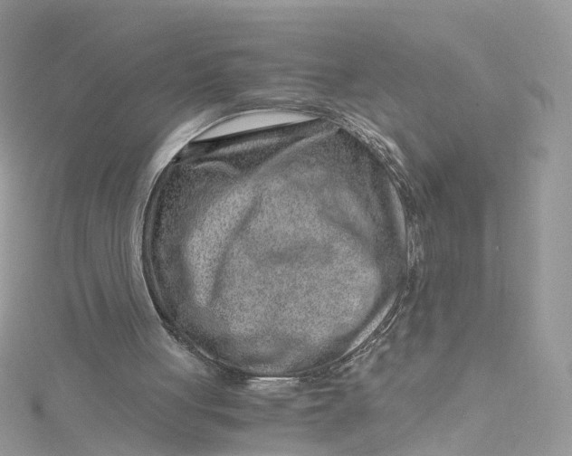 X0000115150051200911171249