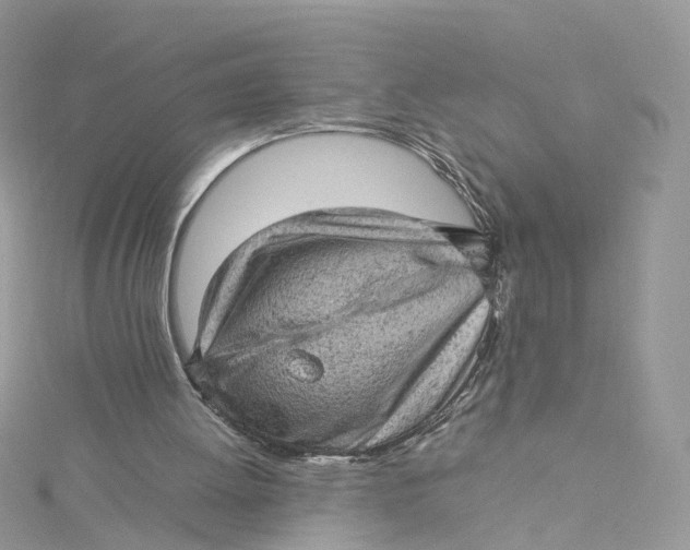 X0000115150052200911171249