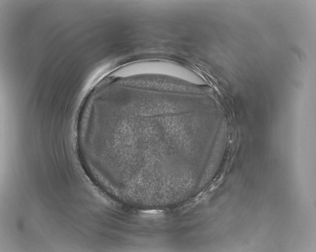 X0000115150053200911171249