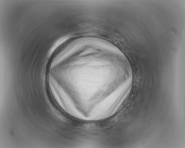 X0000115150054200911171249