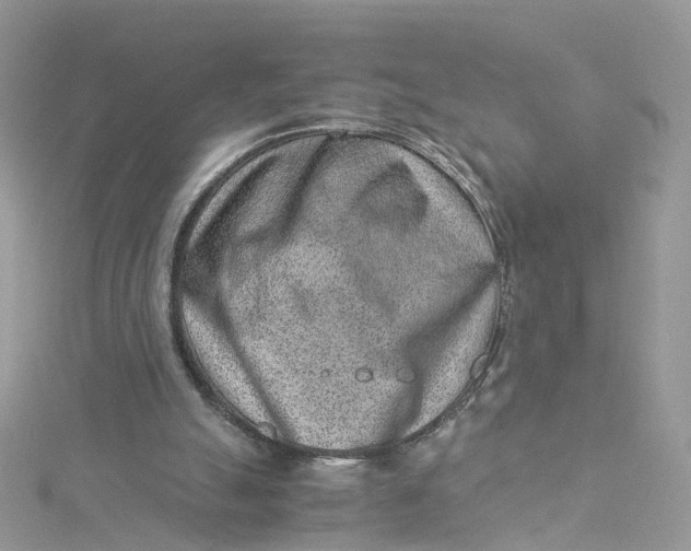 X0000115150055200911171249