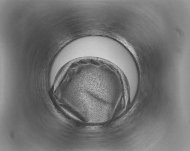 X0000115150057200911171249