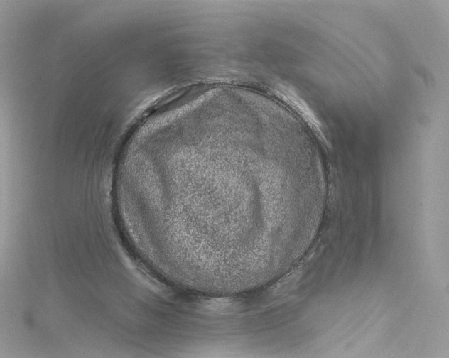 X0000115150058200911171249