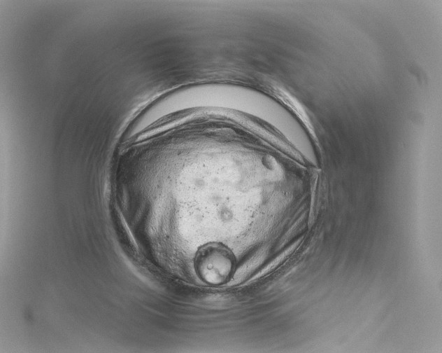 X0000115150059200911171249