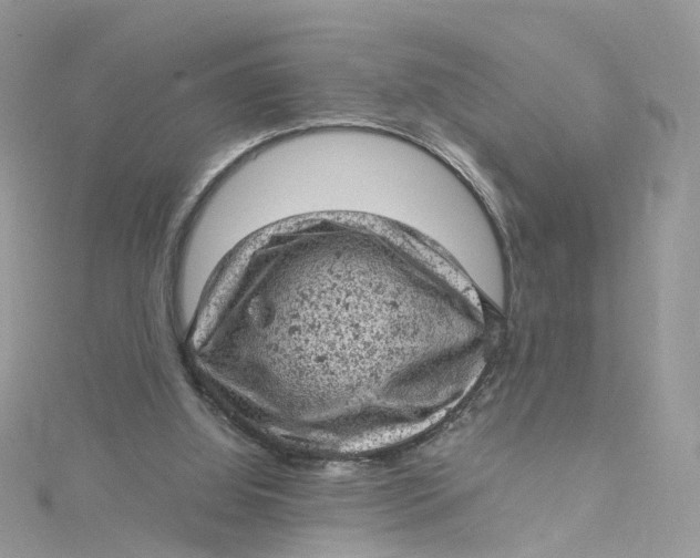 X0000115150060200911171249