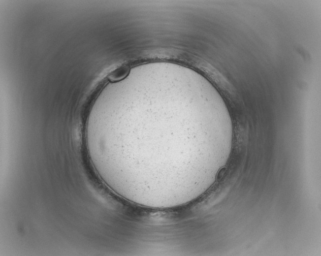 X0000115150064200911171249