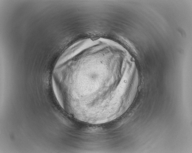 X0000115150065200911171249