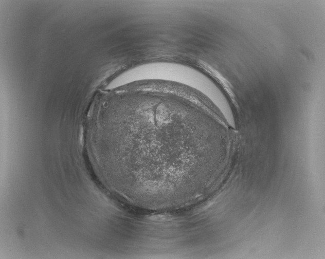 X0000115150067200911171249