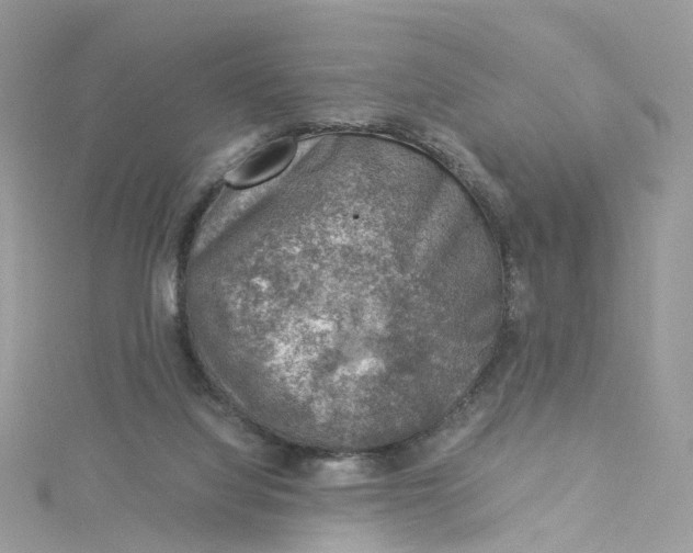 X0000115150068200911171249