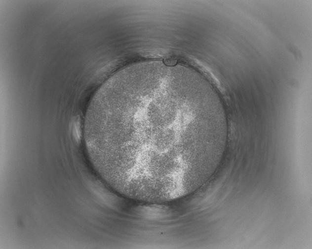 X0000115150069200911171249