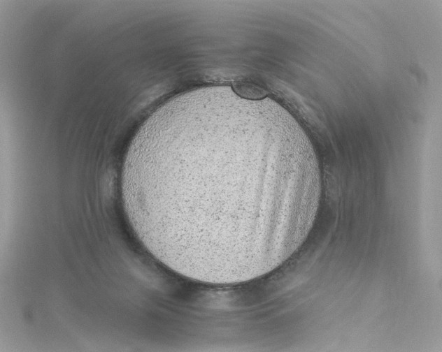 X0000115150071200911171249