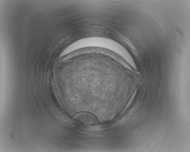 X0000115150073200911171249