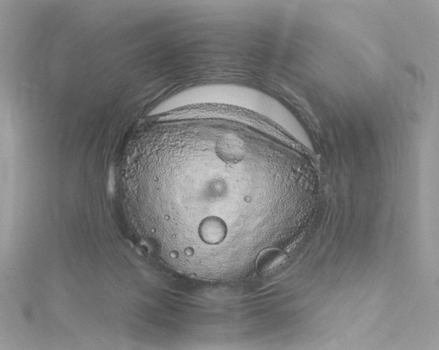 X0000115150075200911171249