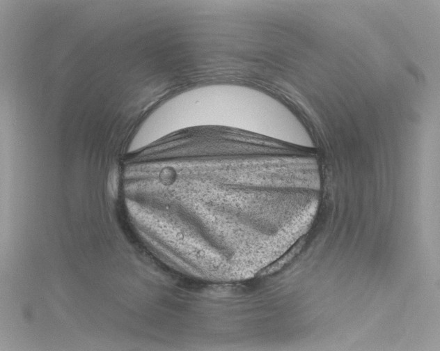 X0000115150076200911171249